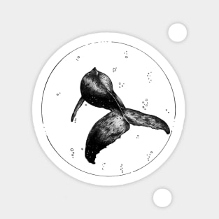 Humpback Whale Circle Sticker